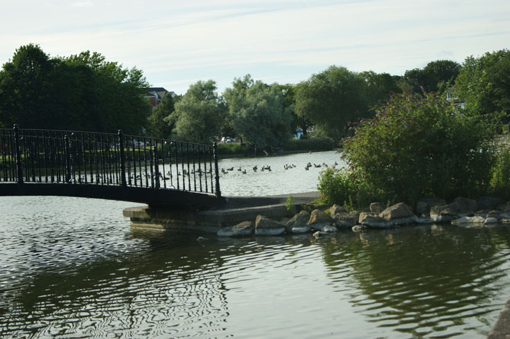 A bridge over a lake, with geese swimming behind the bridge.